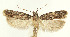  ( - MDH028682)  @11 [ ] CreativeCommons  Attribution (by) (2022) Daniel Handfield Unspecified
