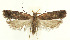  ( - MDH029086)  @11 [ ] CreativeCommons  Attribution (by) (2022) Daniel Handfield Unspecified
