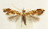  ( - MDH029157)  @11 [ ] CreativeCommons  Attribution (by) (2022) Daniel Handfield Unspecified