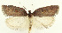  ( - MDH029384)  @11 [ ] CreativeCommons  Attribution (by) (2022) Daniel Handfield Unspecified