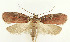  ( - MDH029582)  @11 [ ] CreativeCommons  Attribution (by) (2022) Daniel Handfield Unspecified