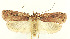  ( - MDH029606)  @11 [ ] CreativeCommons  Attribution (by) (2022) Daniel Handfield Unspecified