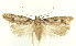  ( - MDH029736)  @11 [ ] CreativeCommons  Attribution (by) (2022) Daniel Handfield Unspecified