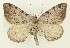  ( - DH035672)  @11 [ ] CreativeCommons  Attribution (by) (2023) Daniel Handfield Unspecified