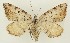  ( - DH035673)  @11 [ ] CreativeCommons  Attribution (by) (2023) Daniel Handfield Unspecified
