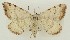  ( - DH035674)  @11 [ ] CreativeCommons  Attribution (by) (2023) Daniel Handfield Unspecified