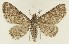  ( - DH035744)  @11 [ ] CreativeCommons  Attribution (by) (2023) Daniel Handfield Unspecified