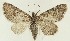  ( - DH035746)  @11 [ ] CreativeCommons  Attribution (by) (2023) Daniel Handfield Unspecified