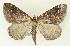  ( - DH035918)  @11 [ ] CreativeCommons  Attribution (by) (2023) Daniel Handfield Unspecified