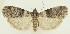  ( - MDH030794)  @11 [ ] CreativeCommons  Attribution (by) (2023) Daniel Handfield Unspecified