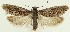  ( - MDH031468)  @11 [ ] CreativeCommons  Attribution (by) (2023) Daniel Handfield Unspecified