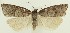  ( - MDH031737)  @11 [ ] CreativeCommons  Attribution (by) (2023) Daniel Handfield Unspecified