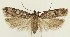  ( - MDH034165)  @11 [ ] CreativeCommons  Attribution (by) (2023) Daniel Handfield Unspecified