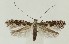  ( - MDH036705)  @11 [ ] CreativeCommons  Attribution (by) (2023) Daniel Handfield Unspecified