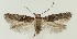  ( - MDH036719)  @11 [ ] CreativeCommons  Attribution (by) (2023) Daniel Handfield Unspecified