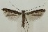  ( - MDH037554)  @11 [ ] CreativeCommons  Attribution (by) (2023) Daniel Handfield Unspecified