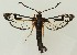  ( - MDH037671)  @11 [ ] CreativeCommons  Attribution (by) (2024) Daniel Handfield Unspecified