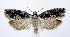  ( - jflandry0337)  @14 [ ] Copyright (2007) Unspecified Canadian National Collection
