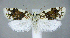  ( - jflandry0629)  @14 [ ] Copyright (2007) Unspecified Canadian National Collection