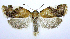  ( - jflandry0557)  @14 [ ] Copyright (2007) Unspecified Canadian National Collection