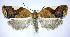  ( - jflandry0602)  @14 [ ] Copyright (2007) Unspecified Canadian National Collection