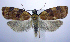  ( - jflandry0855)  @14 [ ] Copyright (2007) Unspecified Canadian National Collection