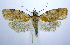  ( - jflandry0854)  @14 [ ] Copyright (2007) Unspecified Canadian National Collection