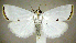  ( - jflandry0707)  @14 [ ] Copyright (2007) Unspecified Canadian National Collection