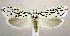  ( - jflandry0628)  @14 [ ] Copyright (2007) Unspecified Canadian National Collection