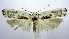  ( - jflandry0424)  @13 [ ] Copyright (2007) Unspecified Canadian National Collection