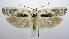  ( - jflandry0577)  @14 [ ] Copyright (2007) Unspecified Canadian National Collection
