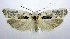  ( - jflandry0578)  @13 [ ] Copyright (2007) Unspecified Canadian National Collection