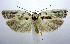  ( - jflandry0579)  @14 [ ] Copyright (2007) Unspecified Canadian National Collection