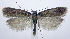  ( - jflandry0535)  @13 [ ] Copyright (2007) Unspecified Canadian National Collection
