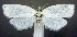  ( - jflandry0823)  @14 [ ] Copyright (2007) Unspecified Canadian National Collection