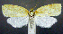  ( - jflandry0822)  @14 [ ] Copyright (2007) Unspecified Canadian National Collection