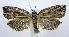  ( - jflandry0574)  @13 [ ] Copyright (2007) Unspecified Canadian National Collection