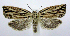  ( - jflandry0639)  @14 [ ] Copyright (2007) Unspecified Canadian National Collection