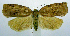  ( - jflandry0825)  @13 [ ] CreativeCommons - Attribution (2010) Unspecified Centre for Biodiversity Genomics