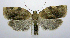  ( - jflandry0444)  @14 [ ] Copyright (2007) Unspecified Canadian National Collection