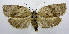  ( - jflandry0634)  @14 [ ] Copyright (2007) Unspecified Canadian National Collection