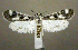  ( - jflandry0465)  @14 [ ] Copyright (2007) Unspecified Canadian National Collection