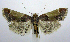  ( - jflandry0630)  @14 [ ] Copyright (2007) Unspecified Canadian National Collection