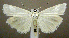  ( - jflandry0752)  @14 [ ] Copyright (2007) Unspecified Canadian National Collection
