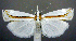  ( - jflandry0827)  @14 [ ] Copyright (2007) Unspecified Canadian National Collection