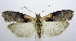  ( - jflandry0468)  @14 [ ] Copyright (2007) Unspecified Canadian National Collection