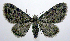  ( - jflandry0623)  @14 [ ] Copyright (2007) Unspecified Canadian National Collection