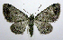  ( - jflandry0622)  @14 [ ] Copyright (2007) Unspecified Canadian National Collection