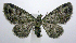  ( - jflandry0609)  @14 [ ] Copyright (2007) Unspecified Canadian National Collection