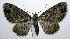  ( - jflandry0487)  @14 [ ] Copyright (2007) Unspecified Canadian National Collection